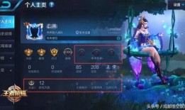 从哪里看王者最新爆料,王者最新爆料，一探究竟！