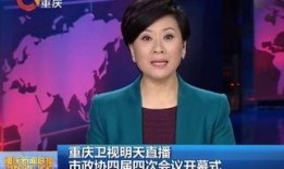 重庆电视直播在线观看,尽在指尖——重庆电视直播在线观看指南